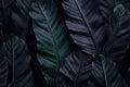 Abstract dark leaves for tropical leaf background. Generative AI