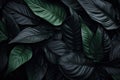 Abstract dark leaves for tropical leaf background. Generative AI