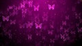 Abstract Dark Pink Group Of Butterflies Flying With Sparkling Glitter Dust Texture