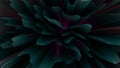 Abstract Dark Wavy Background With Curved Elements Royalty Free Stock Photo