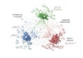 Abstract data visualization network graph with interconnected nodes and clusters of information Royalty Free Stock Photo