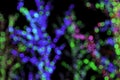 Abstract de-focused colorful lights bokeh