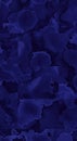 Abstract Deep Blue Floral Pattern Design Royalty Free Stock Photo