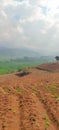 Plowed hillside - stock photo