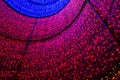 Abstract defocused blue and red lights background Royalty Free Stock Photo