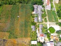 Aerial photography a view Plantation and agricultural land in the hill valley