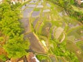 Aerial rice fields that are flooded after rain