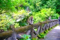 Monkeys roaming the forest in captivity - stock photo Royalty Free Stock Photo