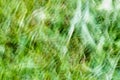 Abstract defocused green nature blured background or texture Royalty Free Stock Photo