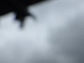 Abstract defocused grey color background