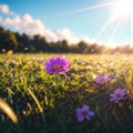 Abstract Defocused Spring - Purple Daisies And Butterfly On Grass In Sunny Field made with Generative AI Royalty Free Stock Photo