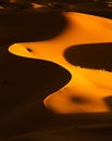 Abstract desert Sahara Royalty Free Stock Photo