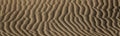 Abstract desert sand pattern shaped by low sunlight and wind formed ripples