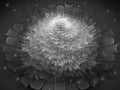 Abstract design, digital beautiful fractal, magic black and white flower