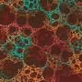 Abstract design featuring an intricate pattern of interlocking, web-like circles. Royalty Free Stock Photo