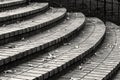 Curved steps in black and white. Royalty Free Stock Photo