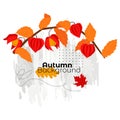 Abstract design, frames on the theme of autumn