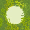 Abstract design with green leaf silhouette card for your text in circle. Vector Royalty Free Stock Photo