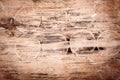 Abstract designed rotten moldy wood texture