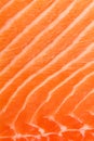 Abstract detail of raw salmon