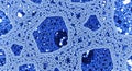 Intricate Blue Cellular Fractal Web Royalty Free Stock Photo