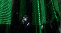 Abstract digital data stream of binary code numbers in green and black Royalty Free Stock Photo