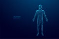 Abstract digital human body. Polygonal wireframe silhouette. Anatomy Royalty Free Stock Photo