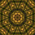 Abstract digital kaleidoscope texture fantasy beautiful design mosaic mandala