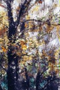 Abstract digital painting of trees in autumn, illustration of trees with yellow leaves for background Royalty Free Stock Photo