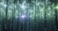 Digital Bamboo Forest, Futuristic Technology and Nature, Binary Code Royalty Free Stock Photo