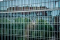 Abstract distorted reflection of historic house and green trees in mirrored glass wall of modern corporate building Royalty Free Stock Photo