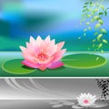 Abstract- Divine Lotus Flower - Vector Background Royalty Free Stock Photo