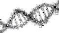 Abstract DNA Helix Made of Black and White Squares on White Background Royalty Free Stock Photo