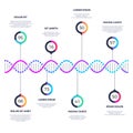 Abstract dna molecule vector business infographic with options