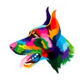 Abstract doberman head portrait from multicolored paints. Colored drawing