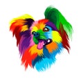 Abstract dog head portrait Continental Toy Spaniel, Dog Papillon from multicolored paints. Dog muzzle