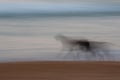 Abstract dog running with blurred panning motion Royalty Free Stock Photo