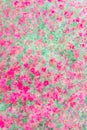 Abstract double exposure image with blurred impatiens flowers, n