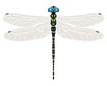 Abstract dragonfly, vector