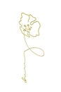 Abstract drawing of poppies drawn in gold