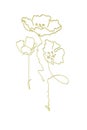 Abstract drawing of poppies drawn in gold