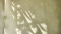 Abstract drawing from the shadow with light from the window with a plant print. Texture, background and frame of light Royalty Free Stock Photo