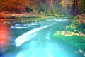 Abstract dreamy forest, colorful background of nature