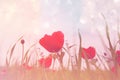 Abstract and dreamy photo with low angle of red poppies against sky with light burst. vintage filtered
