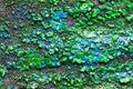 Abstract dried green and blue paint on sand paper Royalty Free Stock Photo