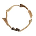 Abstract Driftwood Round Shaped Minimal Frame