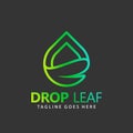 Abstract Drop Green Leaf Logos Design Vector Illustration Template