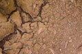 Abstract dry cracked ground surface Royalty Free Stock Photo