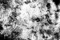 Abstract dust particle and dust grain texture on white background,