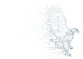 Abstract Eagle Low Poly Wireframe Royalty Free Stock Photo